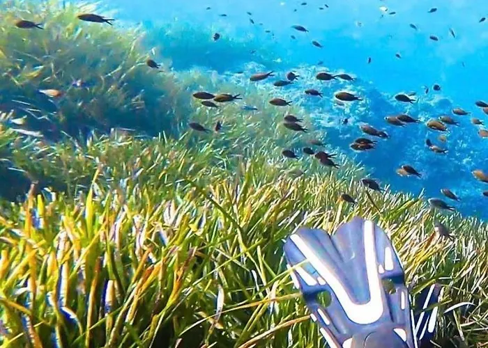 Boulouris - Grand 3 Pieces 5 Personnes Avec Terrasse A 5min A Pied Des Plages Appartamento